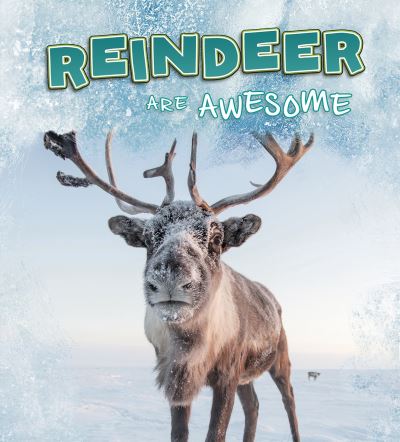 Cover for Jaclyn Jaycox · Reindeer Are Awesome - Polar Animals (Paperback Book) (2020)