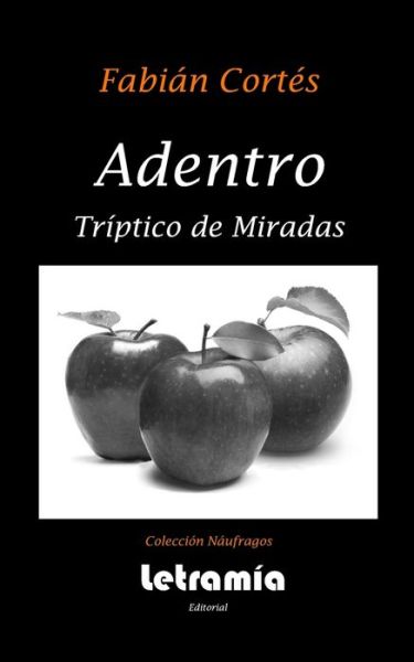 Cover for Fabian Cortes · Adentro Tríptico de miradas (Paperback Book) (2012)