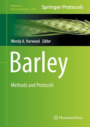 Cover for Barley (Book) [1st ed. 2019 edition] (2018)