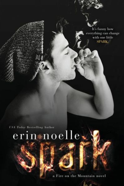 Cover for Erin Noelle · Spark (Paperback Book) (2015)