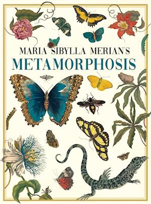 Cover for Maria Sibylla Merian · Maria Sibylla Merian's Metamorphosis (Buch) (2024)