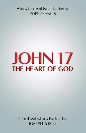 Cover for Joseph Tosini · John 17 (Paperback Book) (2018)