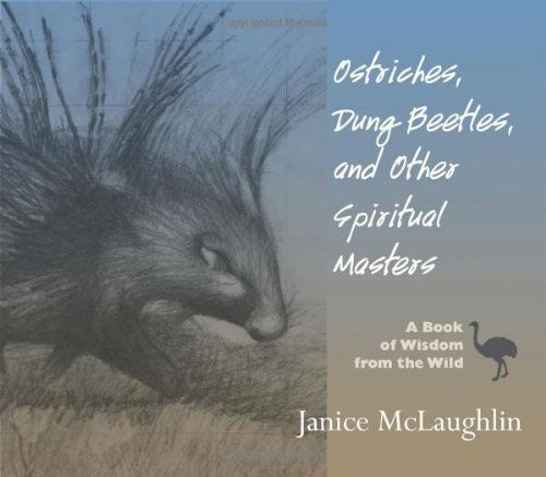 Ostriches, Dung Beetles and Other Spiritual Masters: A Book of Wisdom from the Wild - Janice McLaughlin - Książki - Orbis Books (USA) - 9781570758423 - 1 września 2009