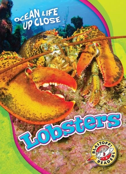 Cover for Heather Adamson · Lobsters - Ocean Life Up Close (Hardcover Book) (2017)