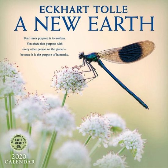 New Earth Calendar 2020 - Eckhart Tolle - Fanituote - Amber Lotus Publishing - 9781631365423 - sunnuntai 7. heinäkuuta 2019