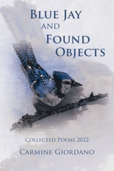 Blue Jay and Found Objects - Carmine Giordano - Books - Xlibris Corporation LLC - 9781669858423 - December 7, 2022