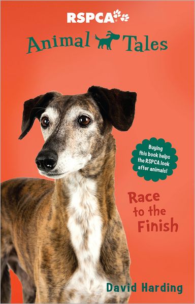 Race to the Finish (Animal Tales) - David Harding - Books - Random House Australia - 9781742753423 - June 1, 2013