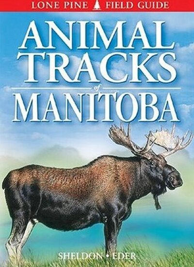 Cover for Ian Sheldon · Animal Tracks of Manitoba (Paperback Book) (2023)