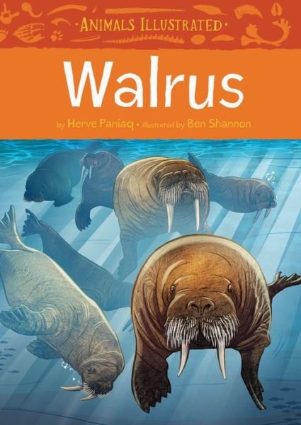 Cover for Herve Paniaq · Animals Illustrated: Walrus - Animals Illustrated (Hardcover Book) [English edition] (2017)