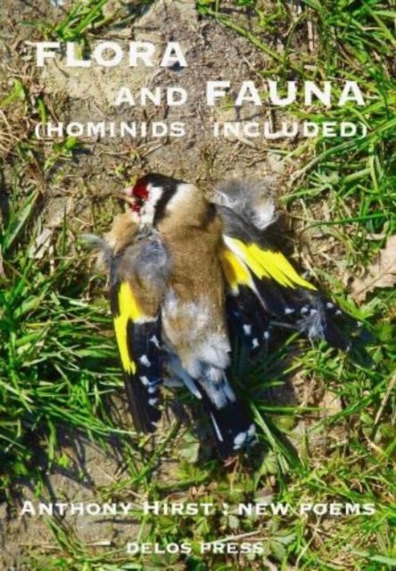 Cover for Anthony Hirst · Flora and Fauna (Hominids Included) (Paperback Book) (2021)