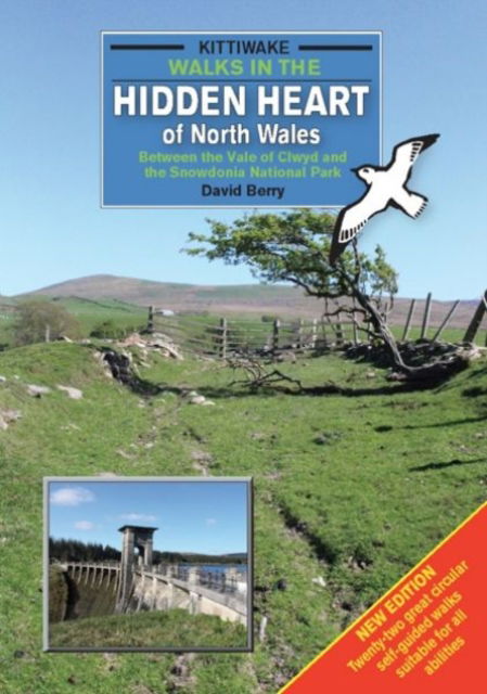 Cover for David Berry · Walks in the Hidden Heart of North Wales - Between the Vale of Clwyd and the Snowdonia National Park (Paperback Book) (2017)