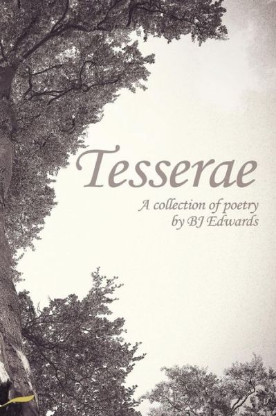 Tesserae - Gabi Grubb - Boeken - Fantastic Books Publishing - 9781909163423 - 13 september 2016