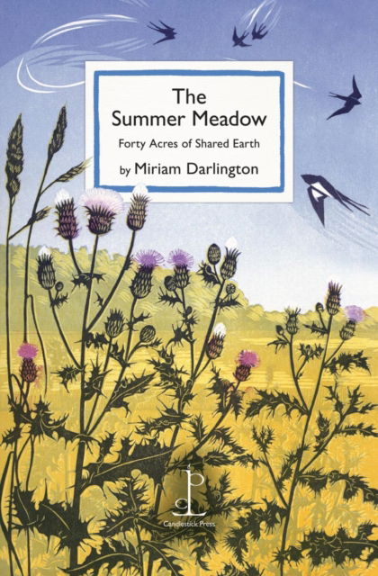 Cover for Miriam Darlington · The Summer Meadow: Forty Acres of Shared Earth (Pocketbok) (2024)