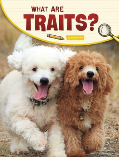 What Are Traits? - Emily Sohn - Livros - Capstone - 9781977131423 - 1 de agosto de 2021