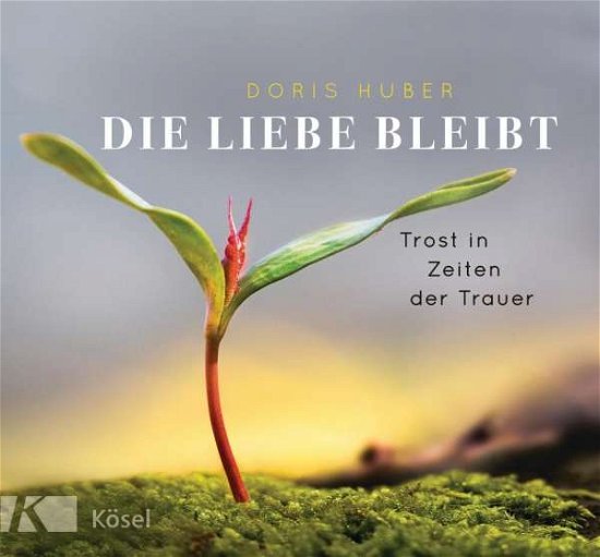 Cover for Huber · Die Liebe bleibt (Buch)