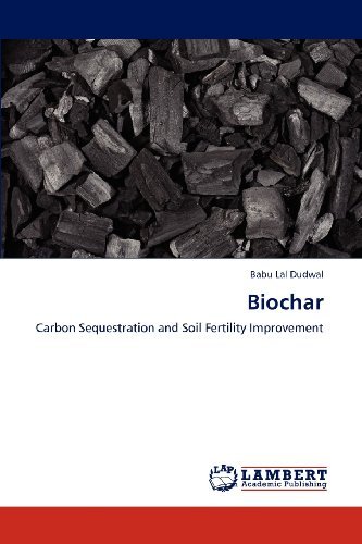 Cover for Babu Lal Dudwal · Biochar: Carbon Sequestration and Soil Fertility Improvement (Paperback Bog) (2012)