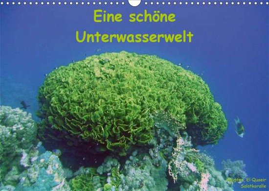 Cover for Bauch · Eine schöne Unterwasserwelt (Wand (Book)