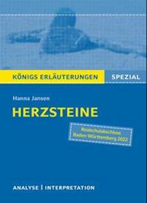 Herzsteine (Paperback Book)