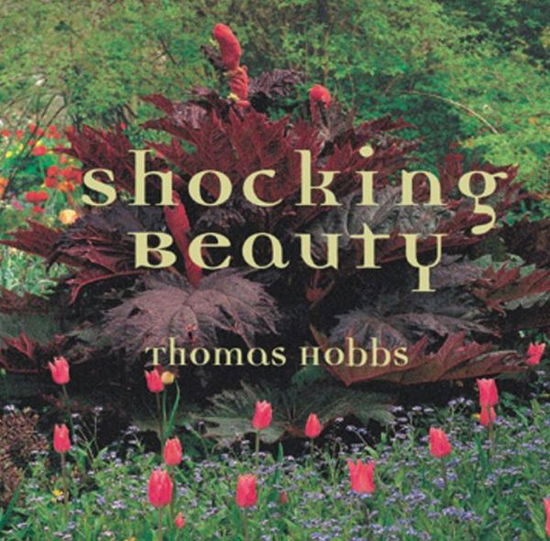 Cover for Thomas Hobbs · Shocking Beauty (Hardcover Book) [Hardcover with Jacket edition] (1999)