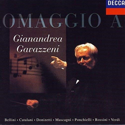 Cover for Orchestra Maggio Musicale Fiorentino · Omaggio a Gianandrea Gavazzeni (CD) (1996)