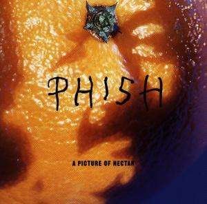 Picture of Nectar, a - Phish - Musik - ELEKTRA - 0075596127424 - 26. april 1999