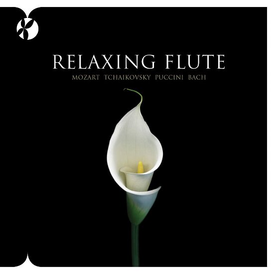 Cover for Reflections · Relaxing Flute (CD) (2011)