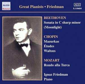 Cover for Friedman / Beethoven / Chopin / Mozart · Great Pianists: Friedman (CD) (2002)