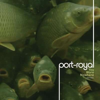 Cover for Port-Royal · You Ware Nowhere (CD) [Remixes edition] (2016)