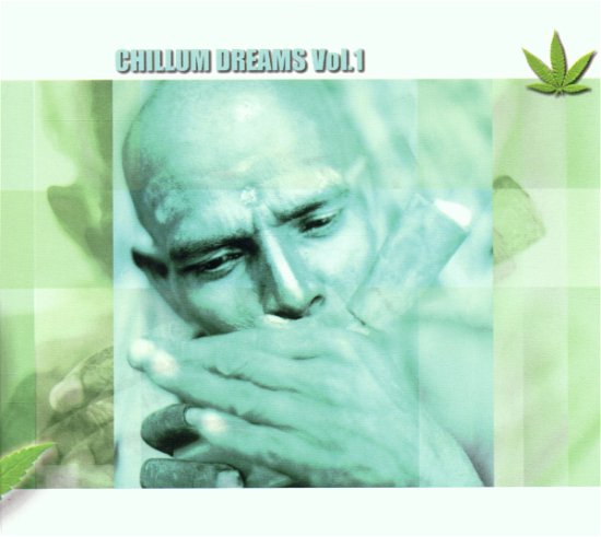 Chillum Dreams 1 / Various - Chillum Dreams 1 / Various - Musik - T-FORCE - 0703513401424 - 2002