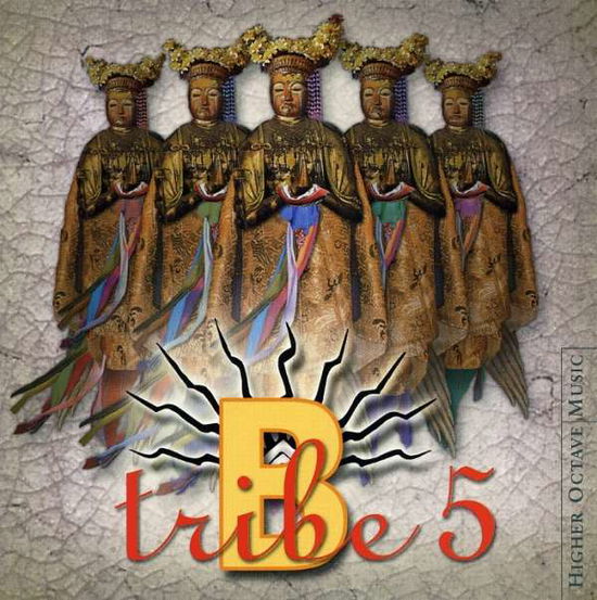 5 - B-tribe - Music - HIGHER OCTAVE - 0724359248424 - September 16, 2003