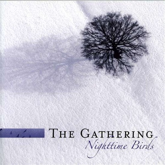 Cover for The Gathering · Nighttime Birds (2cd Re-issue) (CD)