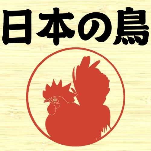 Cover for Merzbow  · 13 Japanese Birds In A Bag (CD)