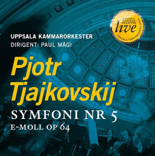 Sym 5 - Tchaikovsky / Uppsala Chamber Orch - Musikk - SWEDISH SOCIETY - 0822659011424 - 8. mars 2010