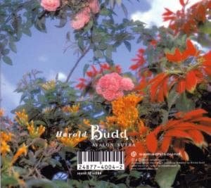 Cover for Harold Budd · Avalon Sutra (CD) (2004)