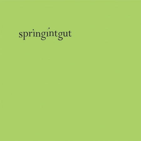 Cover for Springintgut (LP) (2023)