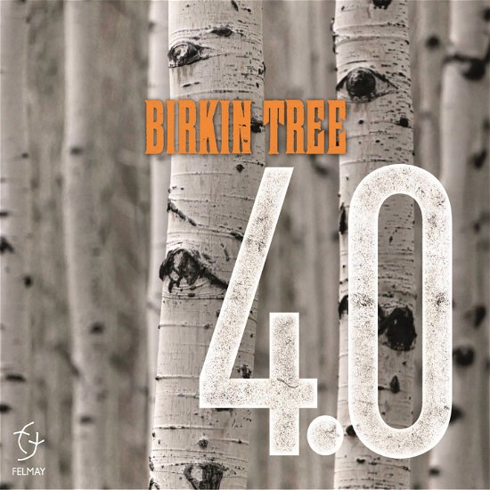 4.0 - Birkin Tree - Música - FELMAY - 0885016828424 - 29 de julho de 2022