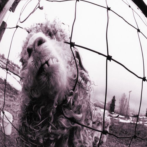 Cover for Pearl Jam · Vs. (CD) [Expanded edition] (2011)