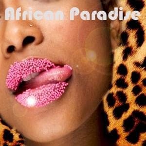 Cover for African Paradise · African paradise (CD) (2016)