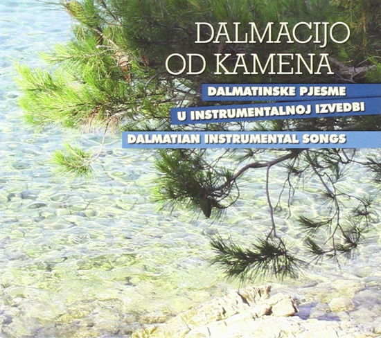 Cover for Razni Izvodaci · Razni Izvodaci - Various Artists - Dalmatian Instrumental Songs - Dalmacijo (CD)