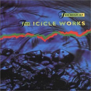 Cover for Icicle Works · Best Of (CD) (2001)