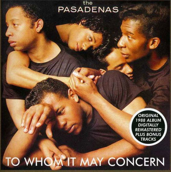 Cover for Pasadenas · To Whom It May Concern (CD) (2002)