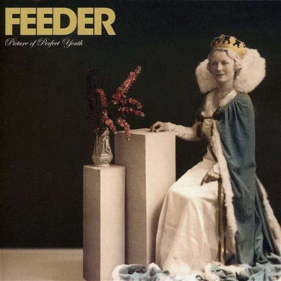 Picture of Perfect Youth - Feeder - Musikk - ECHO - 5027529006424 - 
