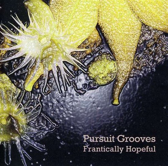 Pursuit Grooves · Frantically Hopeful (CD) (2011)