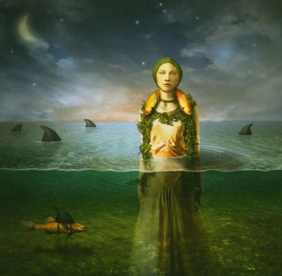 Cover for Bled · Found in the Flood (CD) (2005)
