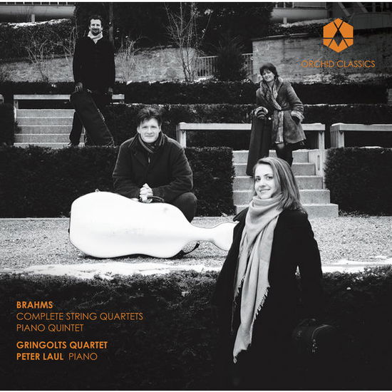 Comp String Quartets & Piano Quintet - Brahms - Musik - ORCHID - 5060189560424 - 10. Juni 2014