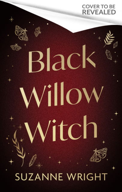 Cover for Suzanne Wright · Black Willow Witch (Paperback Book) (2025)