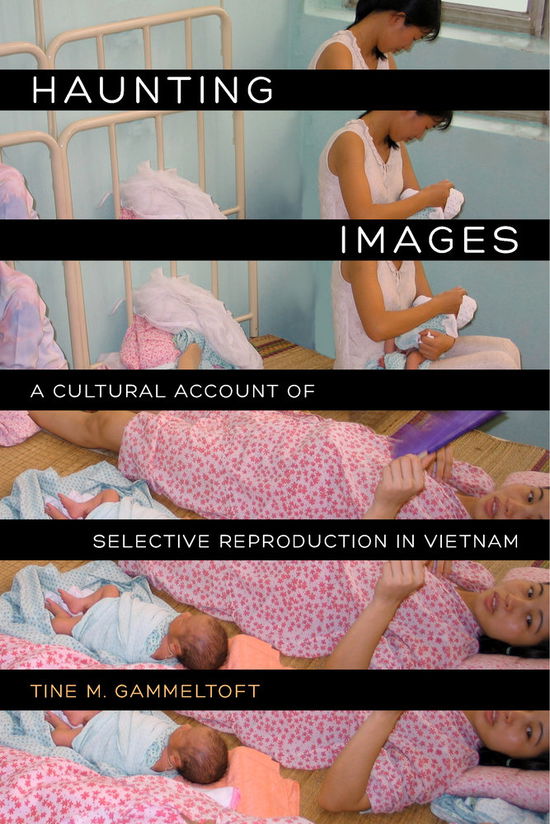 Cover for Tine M. Gammeltoft · Haunting Images: A Cultural Account of Selective Reproduction in Vietnam (Gebundenes Buch) (2014)