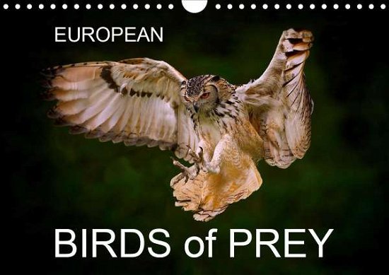 Cover for Cumming · EUROPEAN BIRDS of PREY (Wall Ca (Bok)
