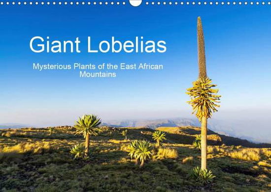 Giant Lobelias - Mysterious Plant - Zwick - Boeken -  - 9781325601424 - 