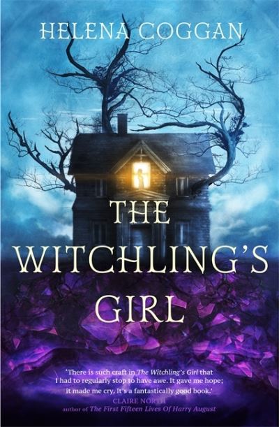 Cover for Helena Coggan · The Witchling's Girl: An atmospheric, beautifully written YA novel about magic, self-sacrifice and one girl's search for who she really is (Hardcover Book) (2021)